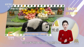 女大学生沙龙2